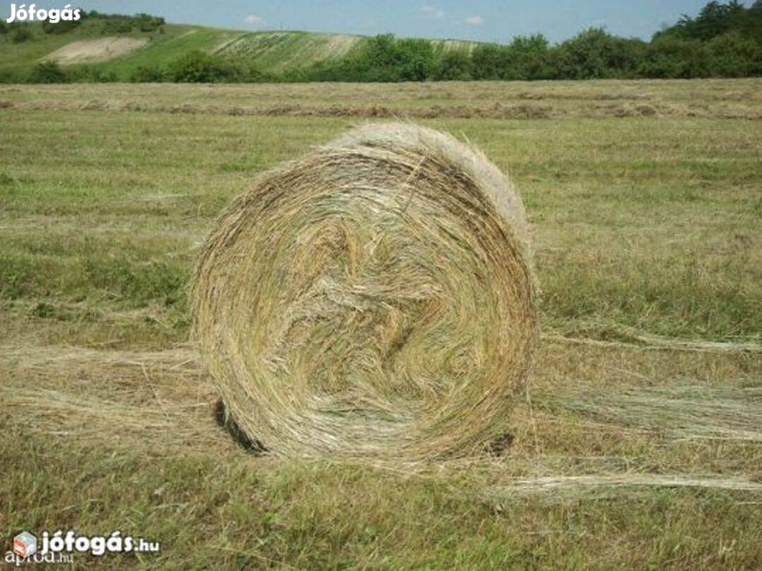 40db 120.as bála jó minőségű gyepszéna + 3 lucerna eladó