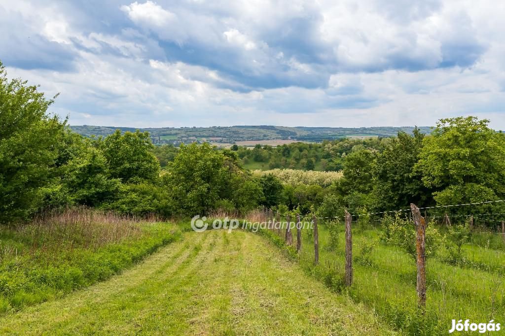 4416 nm-es telek eladó Szentgyörgyvár