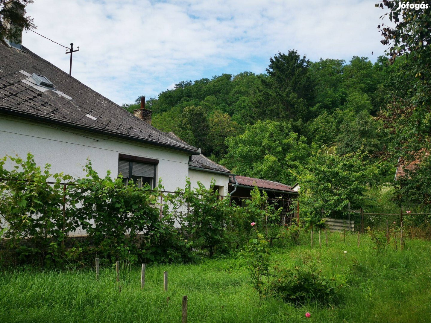 4500 m2-es telken, saját erdős résszel