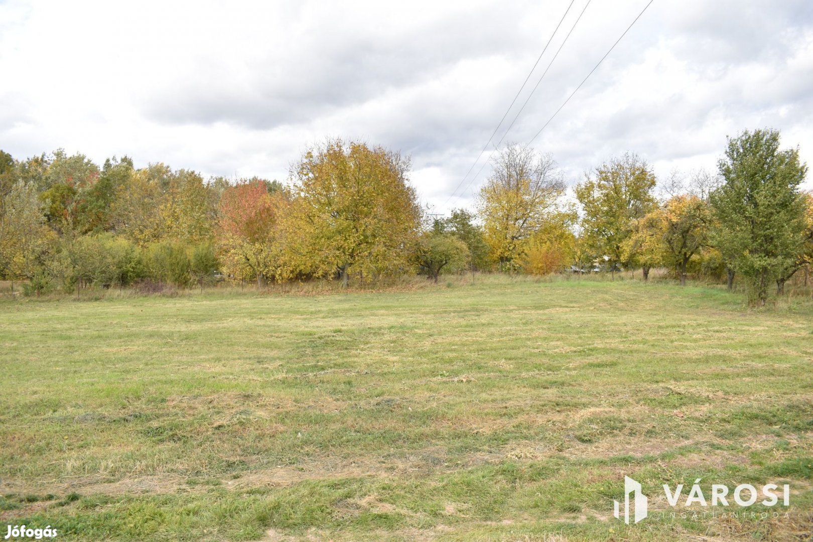 4661 m2 építési telek eladó Gyulán!