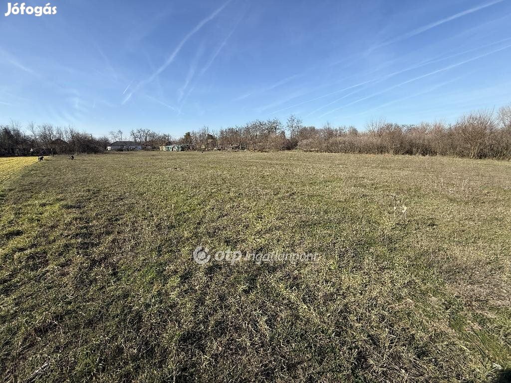 4678 nm-es telek eladó Tiszakécske