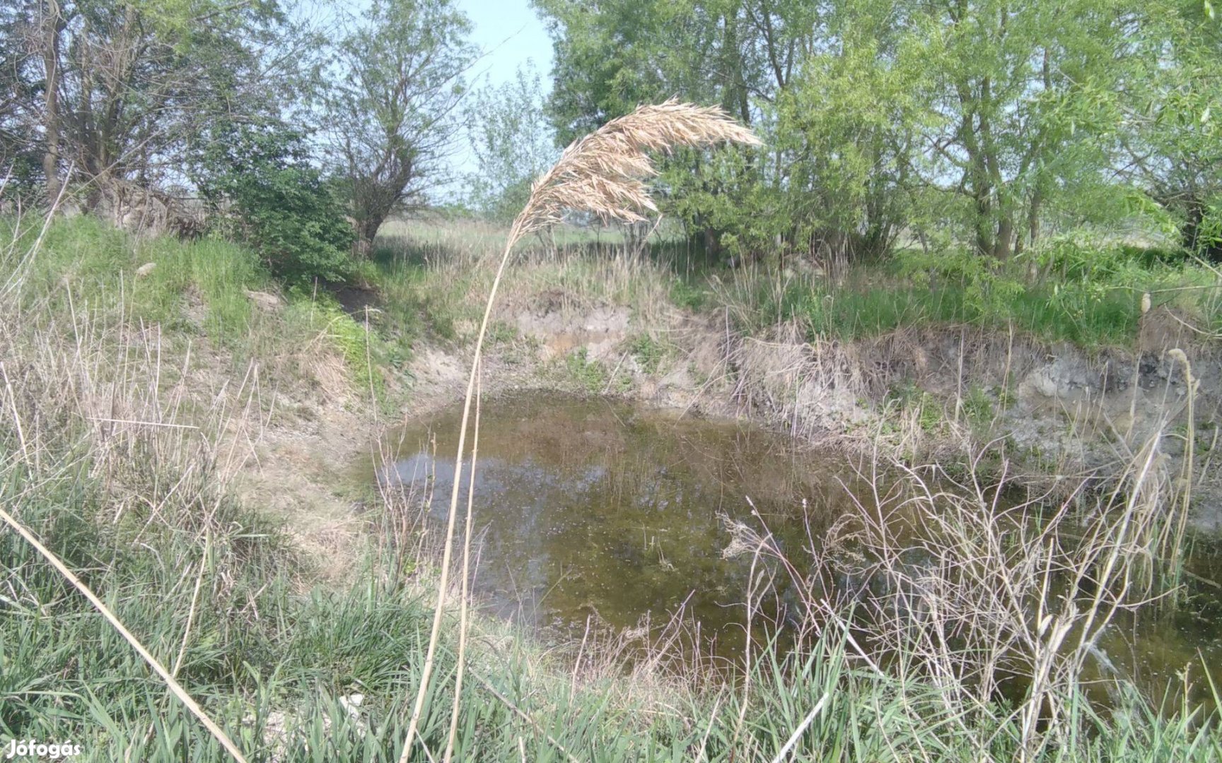 4,3 hektár terület eladó Kiskunmajsán