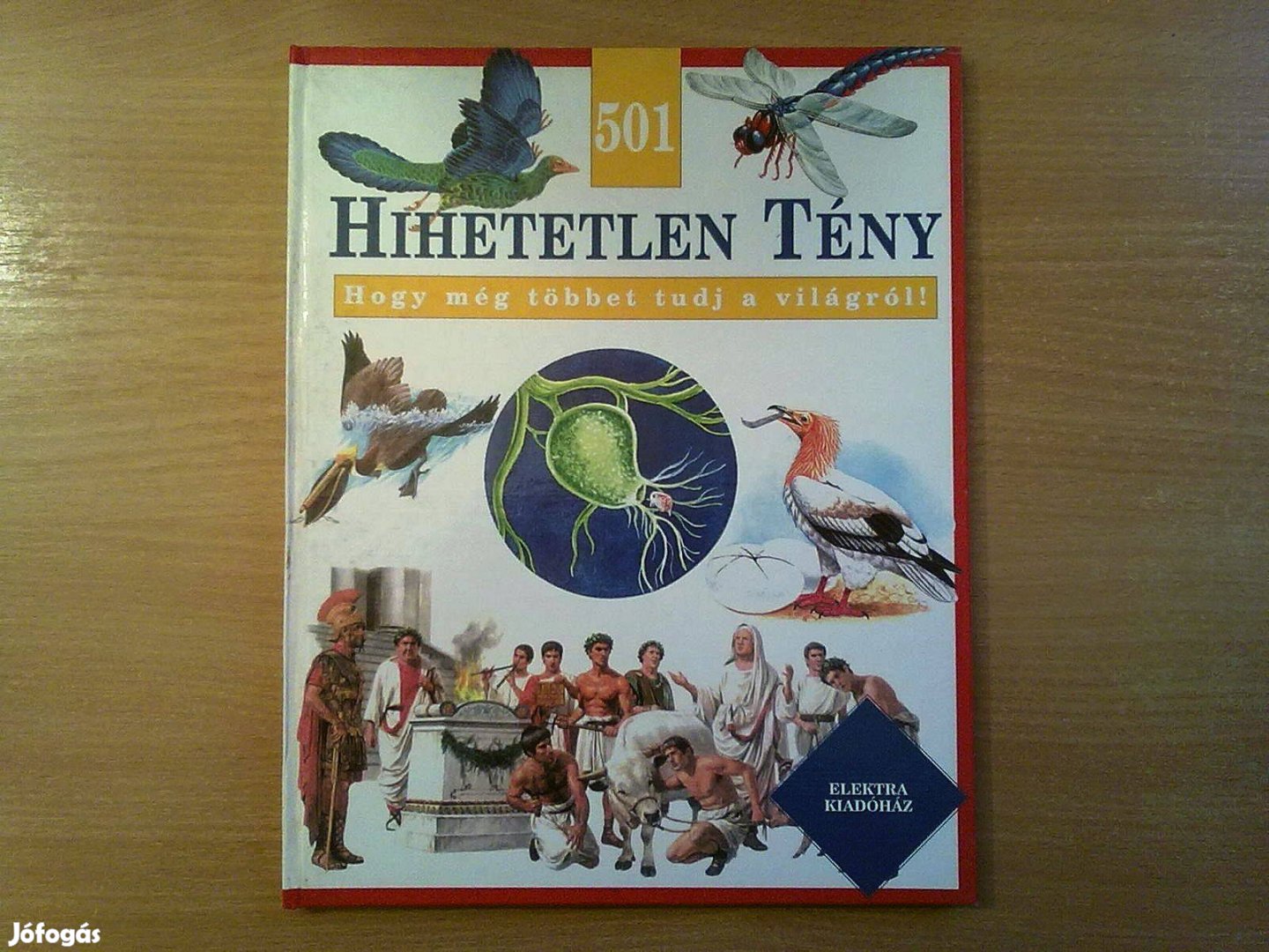 501 hihetetlen tény - Hogy még többet tudj a világról!