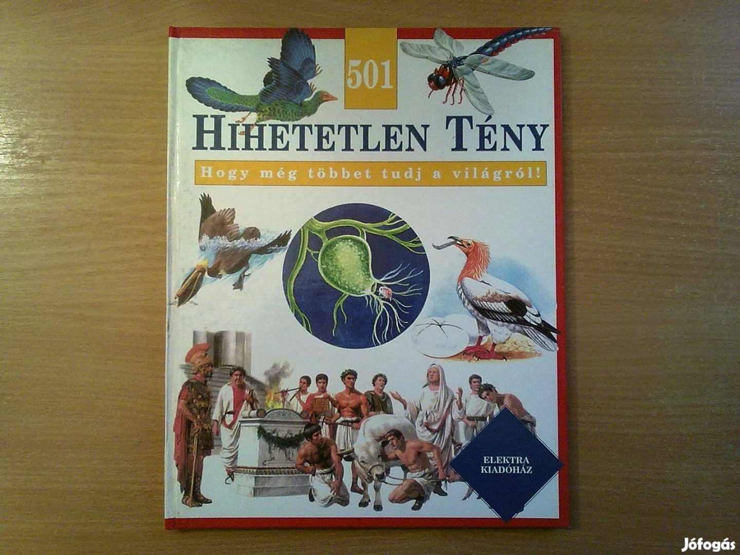 501 hihetetlen tény - Hogy még többet tudj a világról!