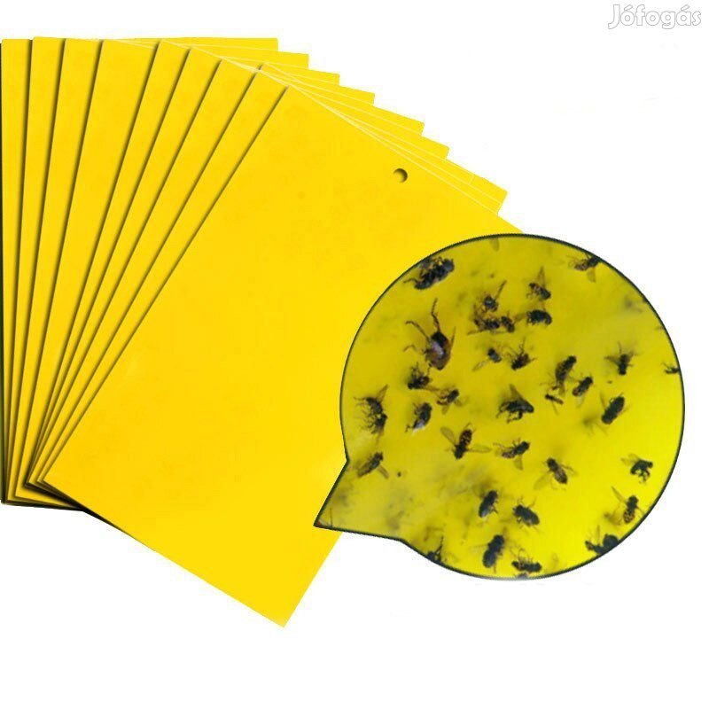 50 db Sárga Rovarfogólap 20x10cm (6049)