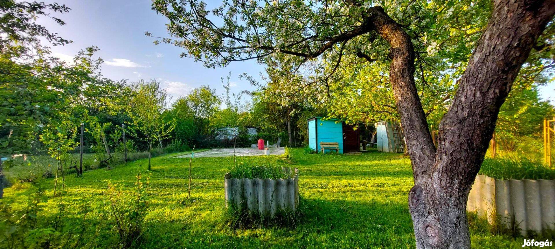 531m2-es parkerdei kiskert szerszámtárolóval eladó Szombathelyen