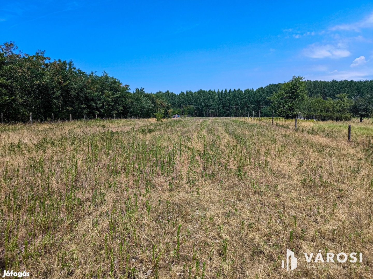 5800 m2-es kertes mezőgazdasági terület Csemőn!