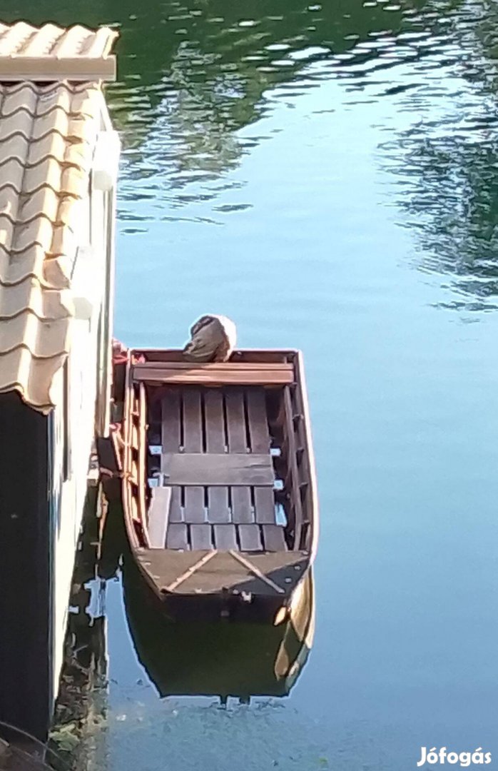 5.5 méteres Borovi fenyőből csónak - ladik - hajó + csónakmotor eladó