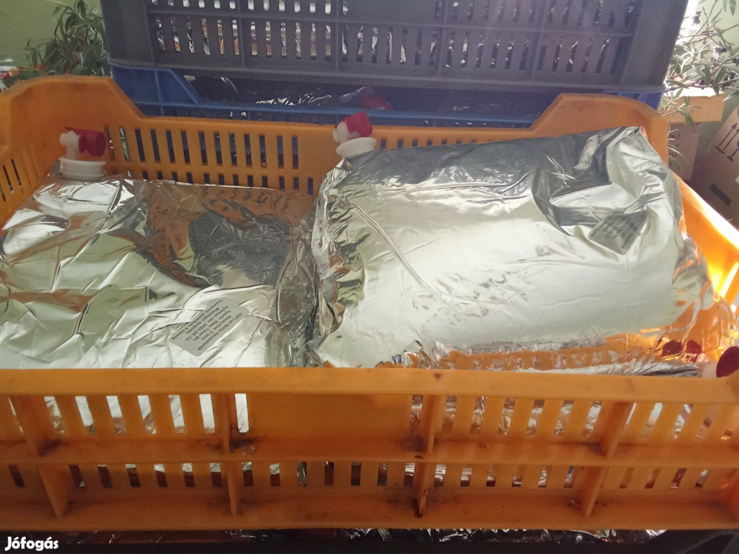 5 Literes almalé Nyíregyházán eladó