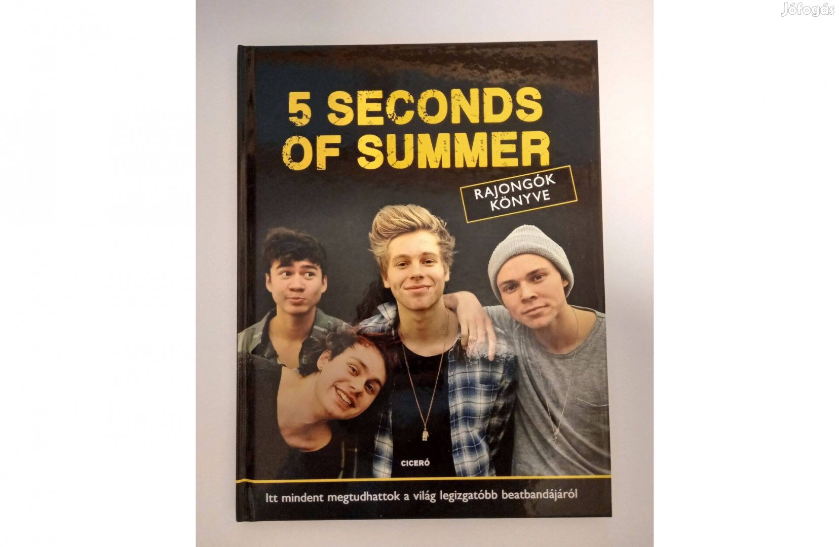 5 Seconds of Summer rajongók könyve