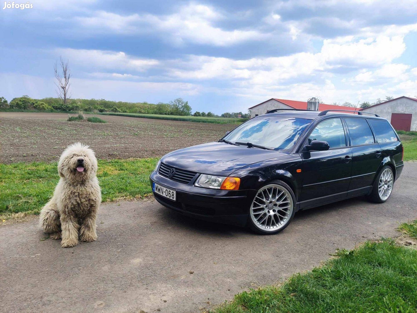 5x112 gyári Audi Speedline 19" felniszett, 225/35R19 nyári gumikkal