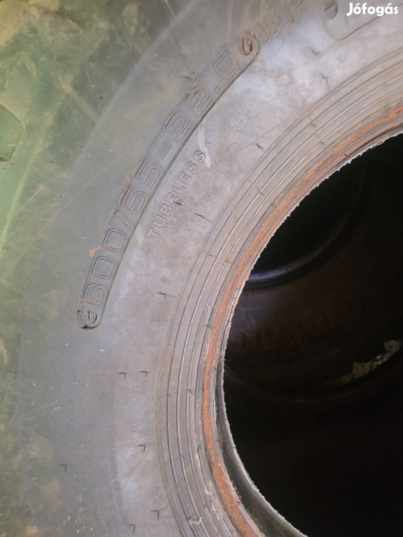 600/55R22.5 Ceat gumik