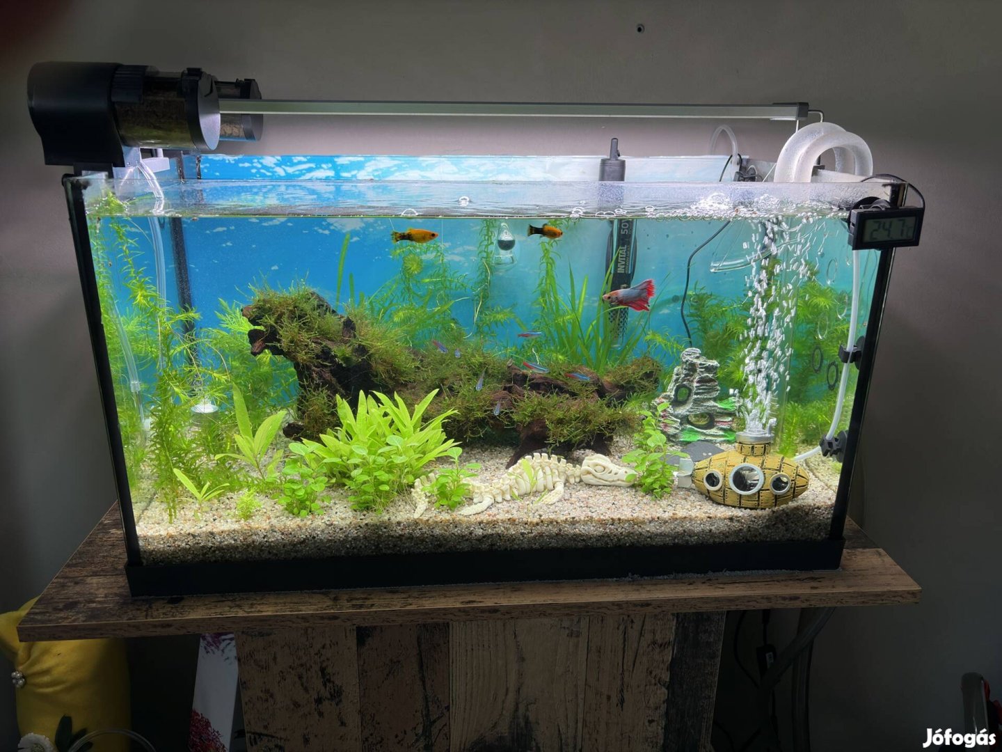 60 literes akvárium állvánnyal
