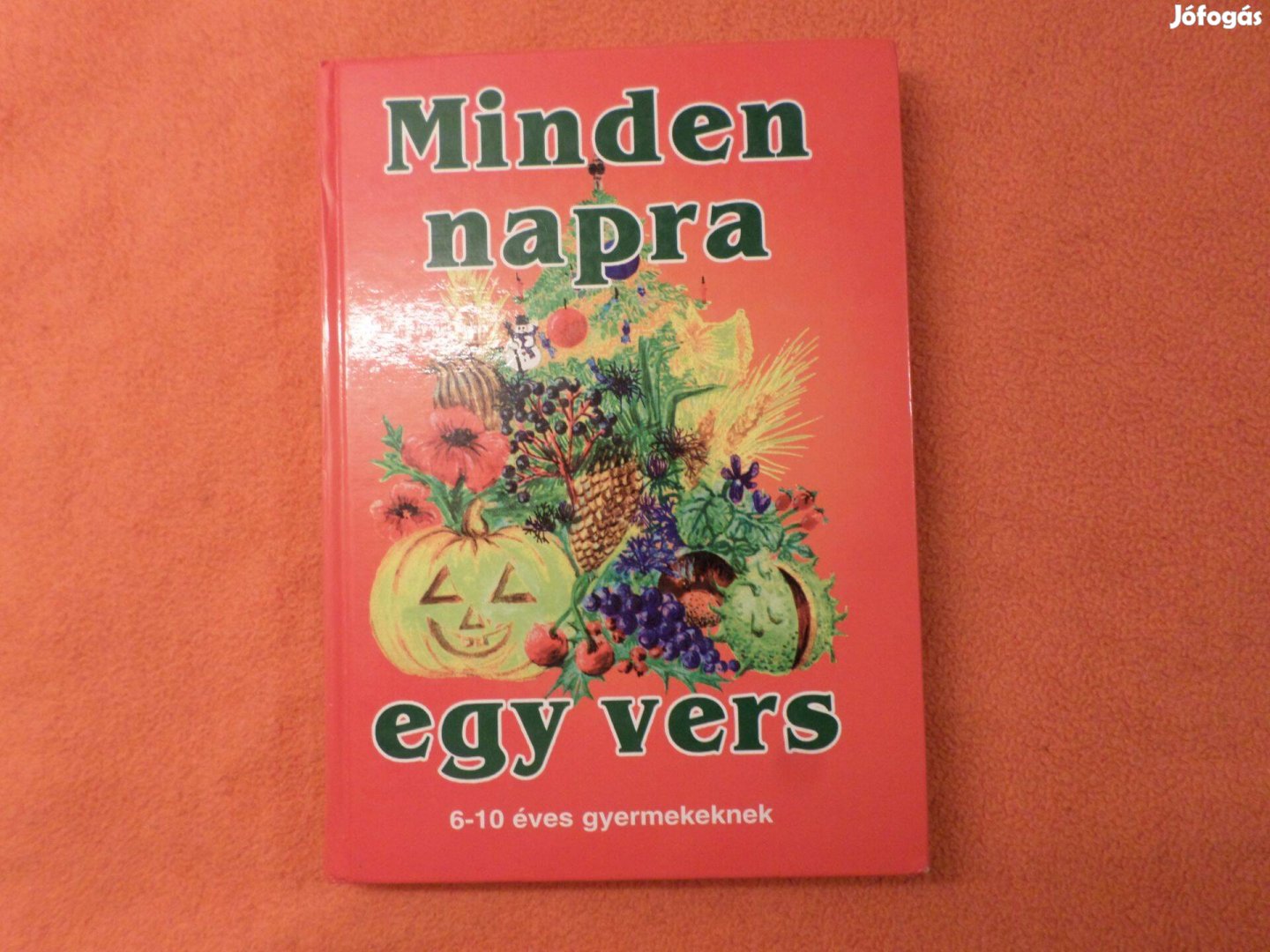 6-10 éves gyermekeknek Minden napra egy vers 1996 Gyermekkönyv