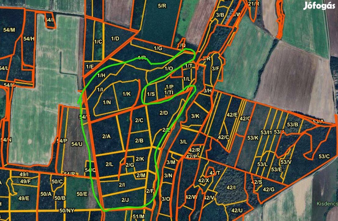 71 hektár erdő eladó 1/1 tulajdonostól
