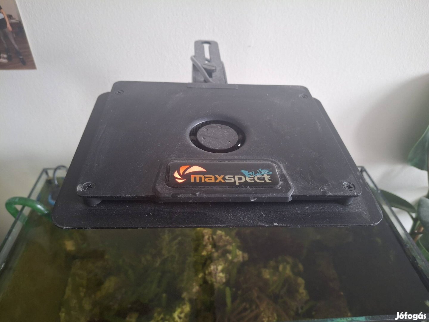 72 literes tengeri akvárium