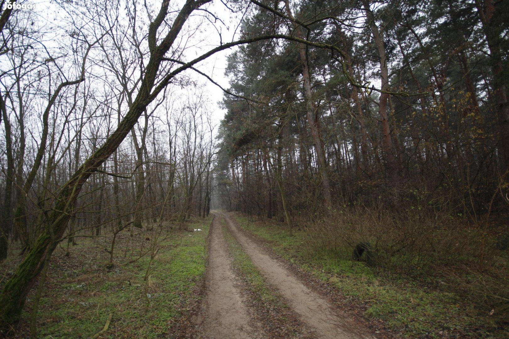 760 nm külterületi telek, Debrecen agglomerációjában