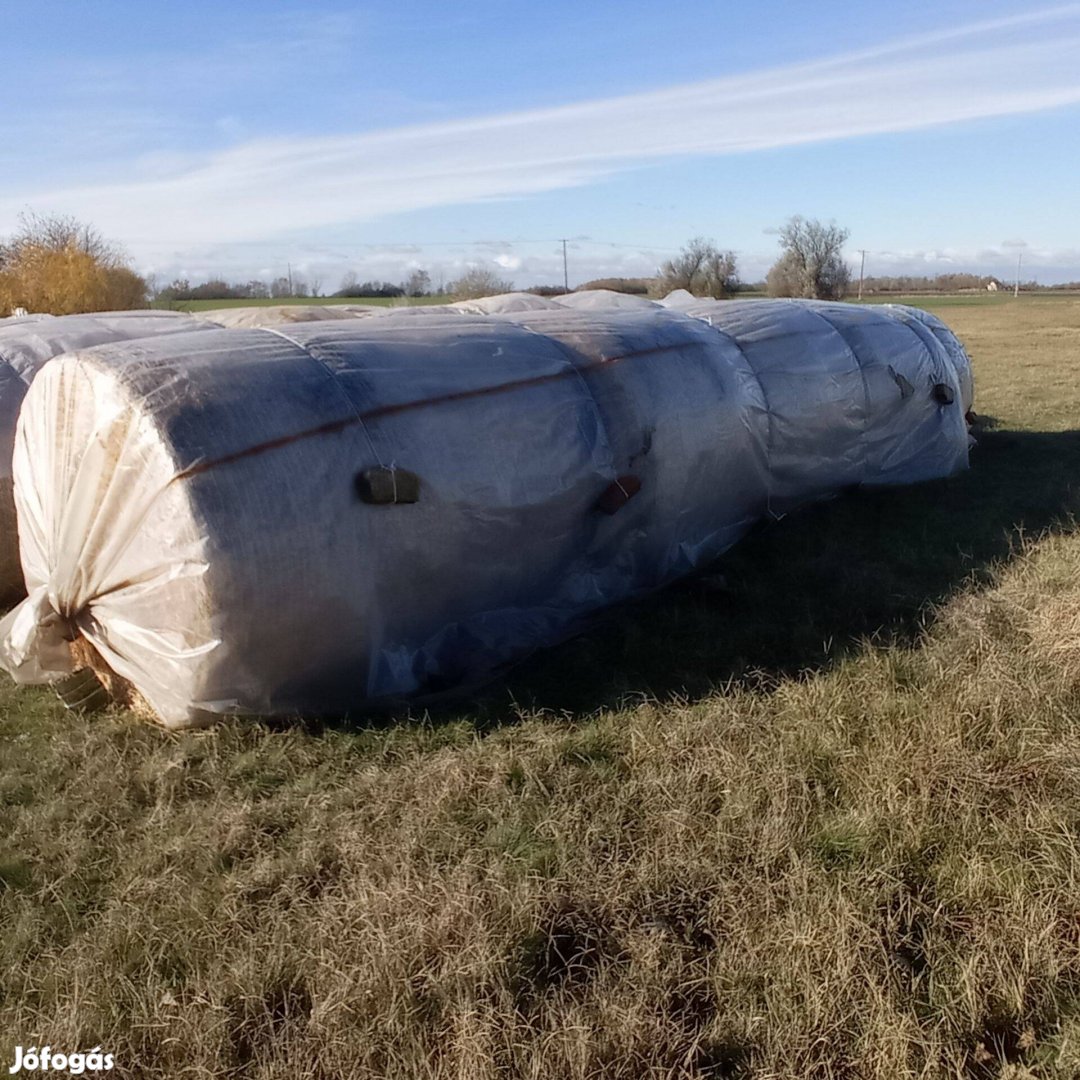 7 db búzaszalma körbála (150 cm) raklapról eladó Kiskunfélegyházán