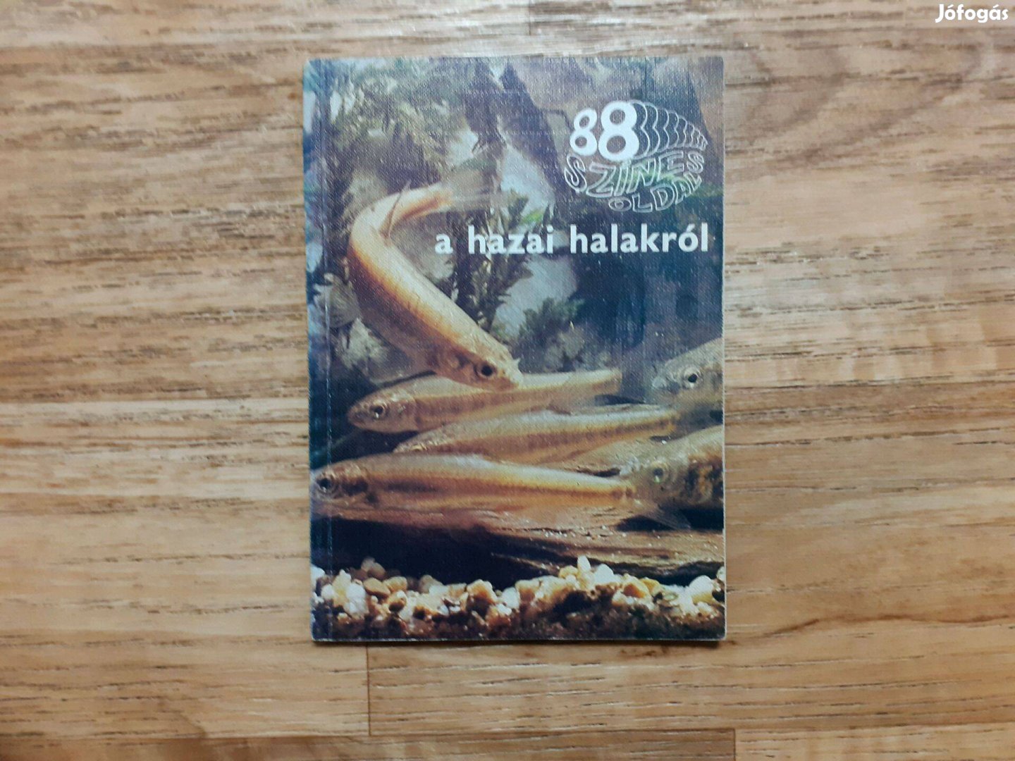 88 színes oldal a hazai halakról