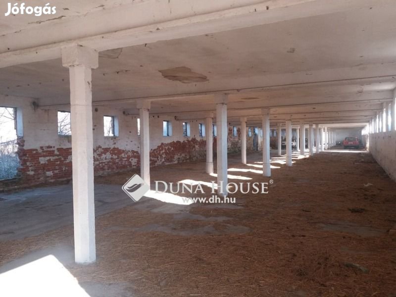 900 nm-es raktár kiadó Bodajk