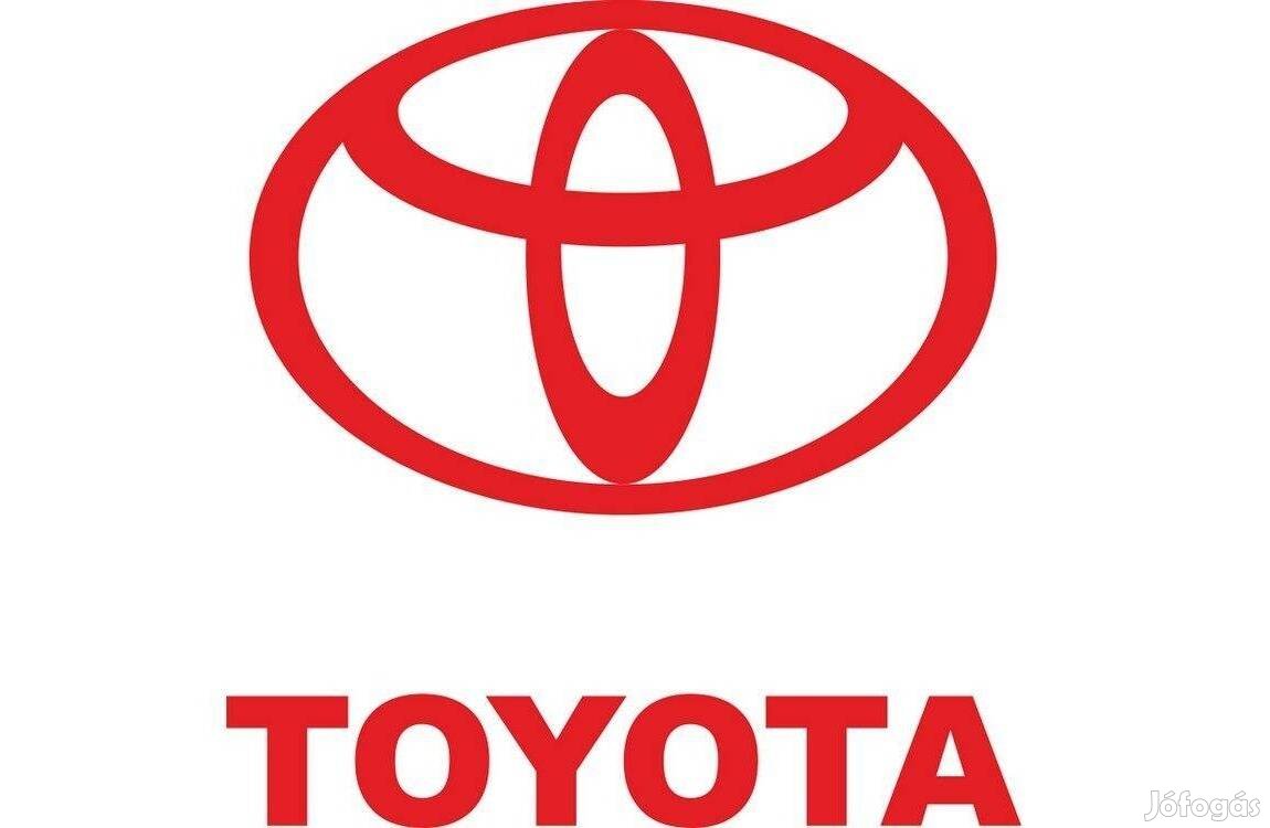 9. ker. Toyota Márkaszerviz, karosszéria munkafelvevő állás