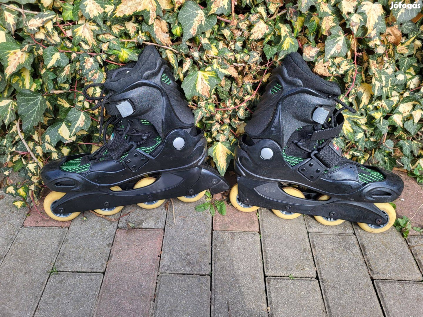 ACTION 46-os görkorcsolya