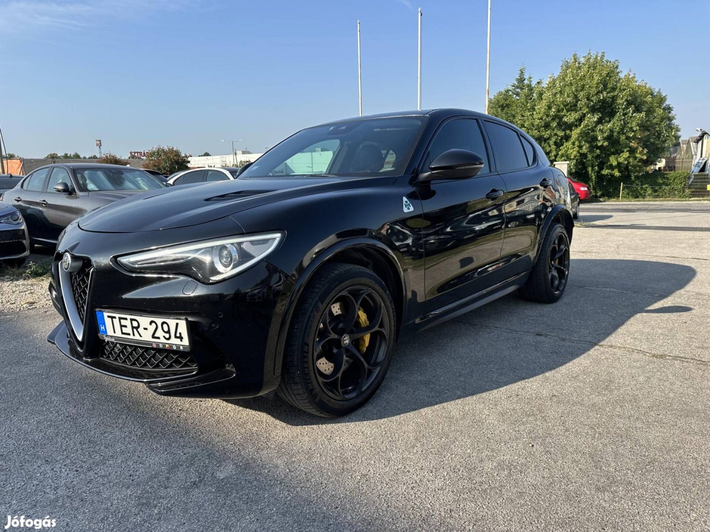 ALFA Romeo Stelvio 2.9 T-V6 Quadrifoglio Q4 (Au...