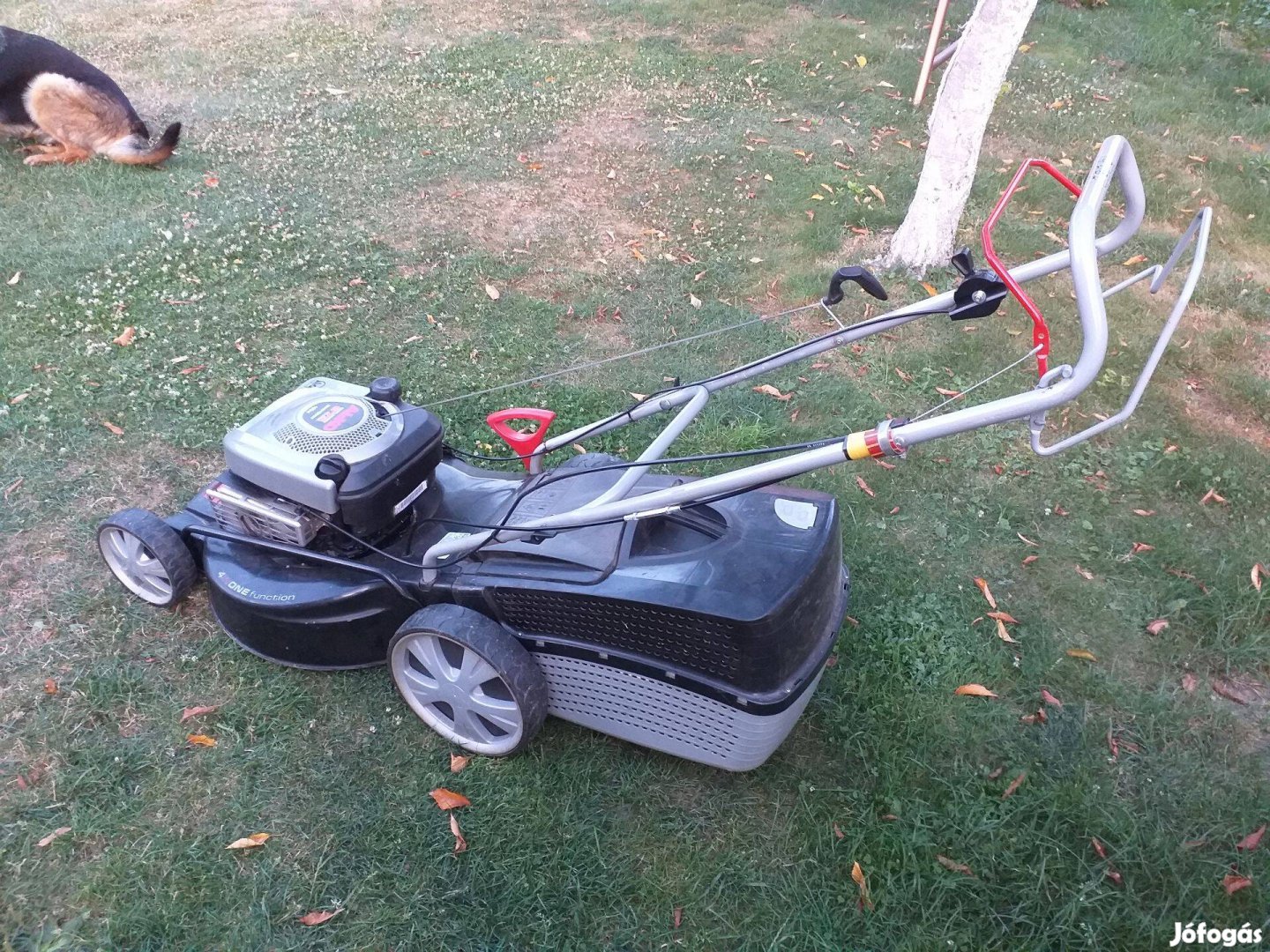 AL-KO fűnyíró Briggs motoros fűgyűjtős, önjárós kitűnő