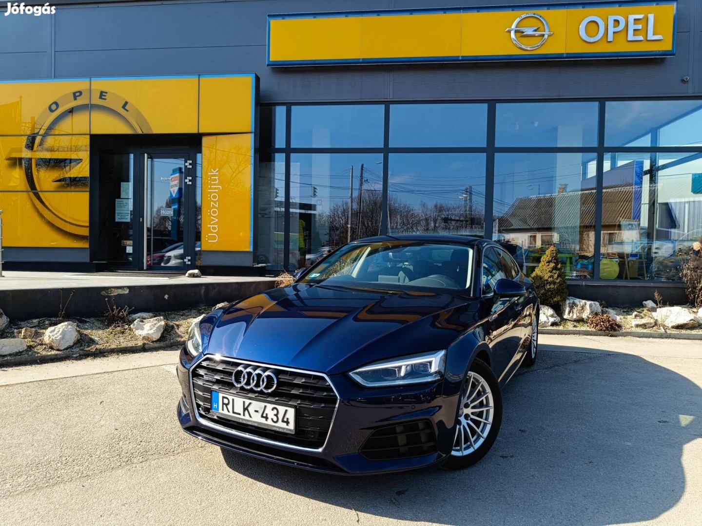 AUDI A5 Sportback 40 TDI Basis quattro S-tronic...