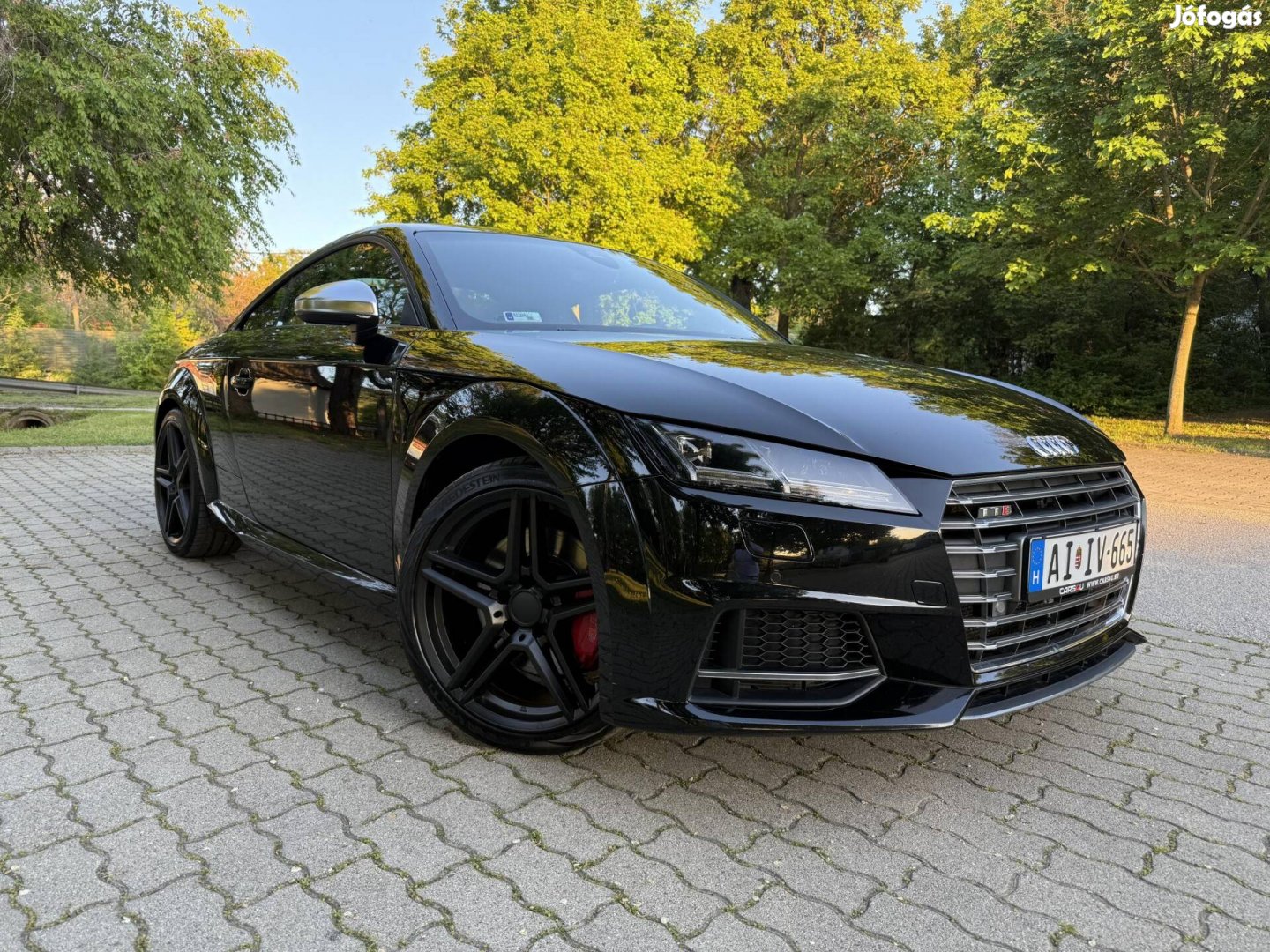 AUDI TTS Coupe 2.0 TFSI quattro