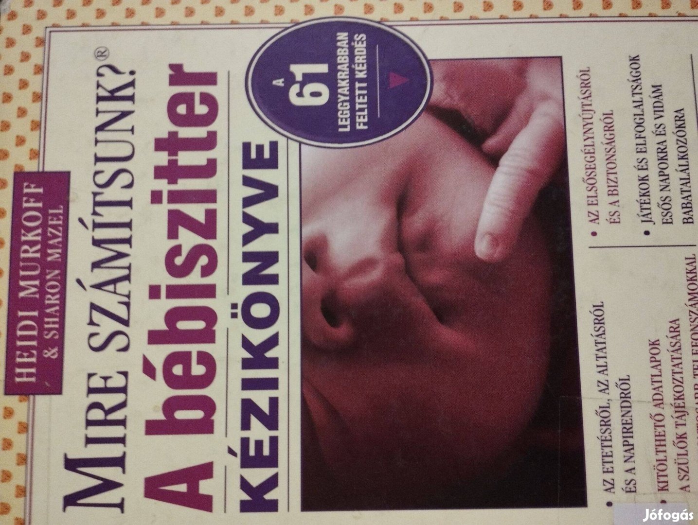 A Bébiszitter Kézikönyve