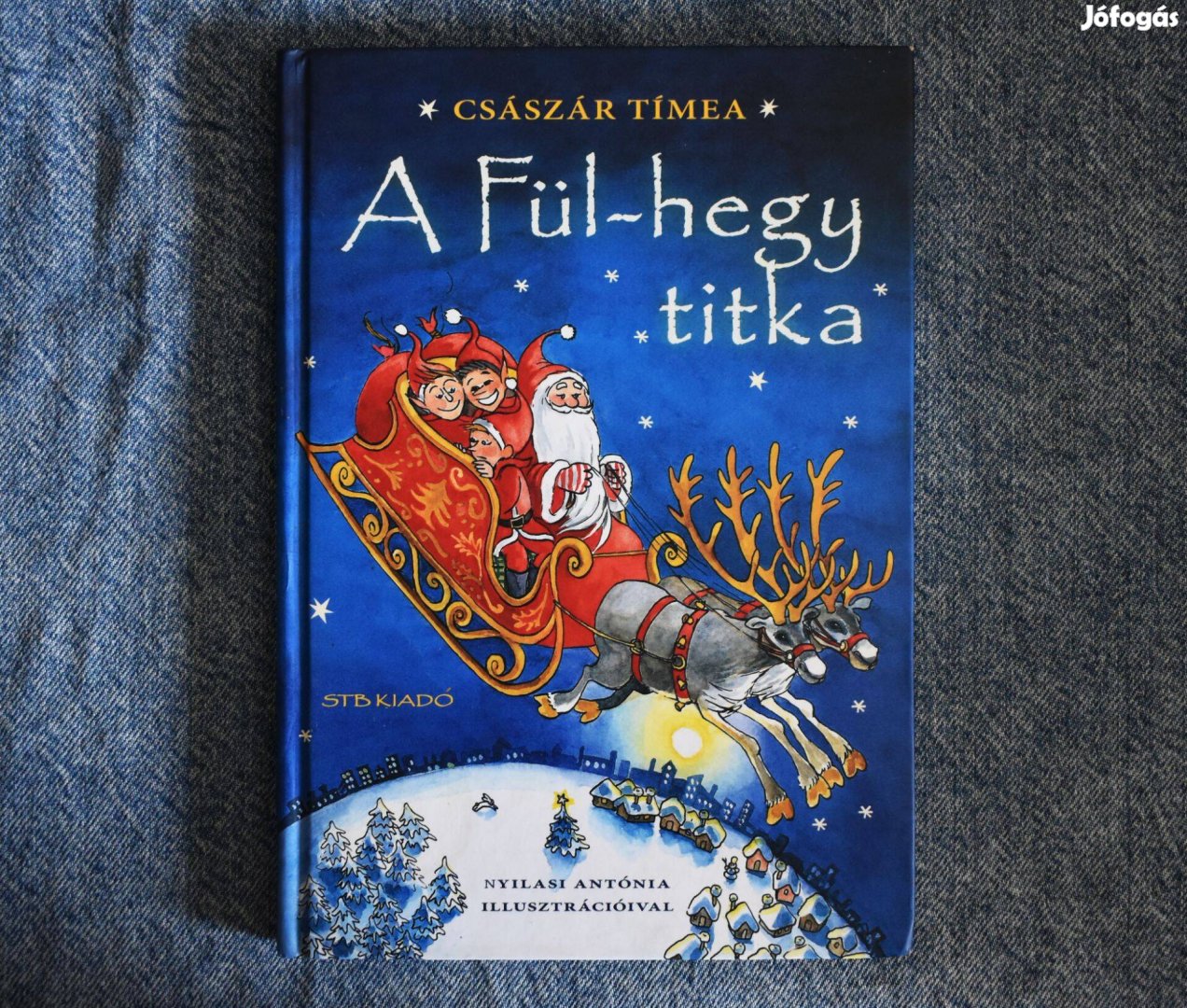 A Fül-hegy titka - Császár Tímea