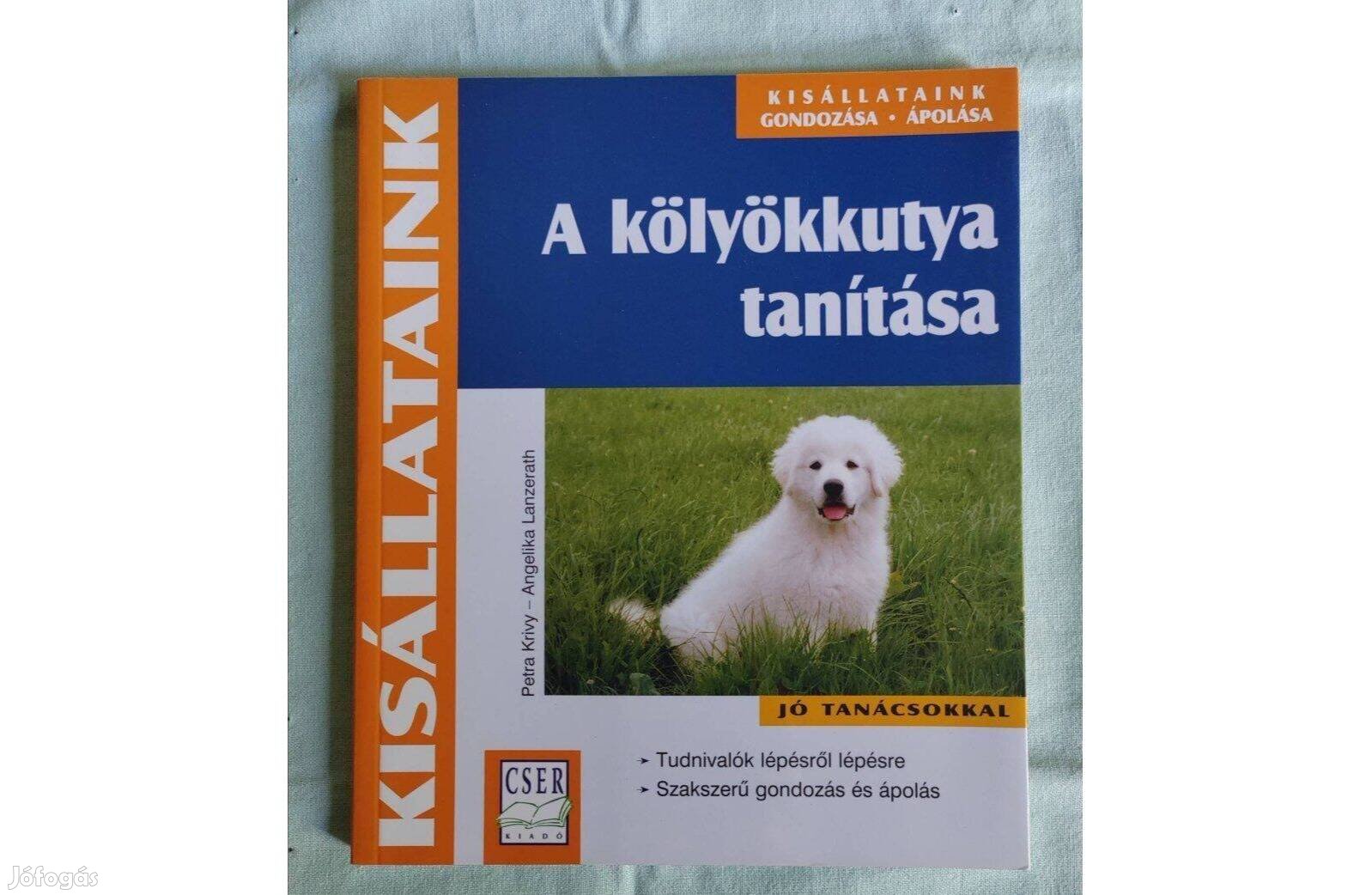 A Kölyökkutya tanítása- Krivy, Lanzerath