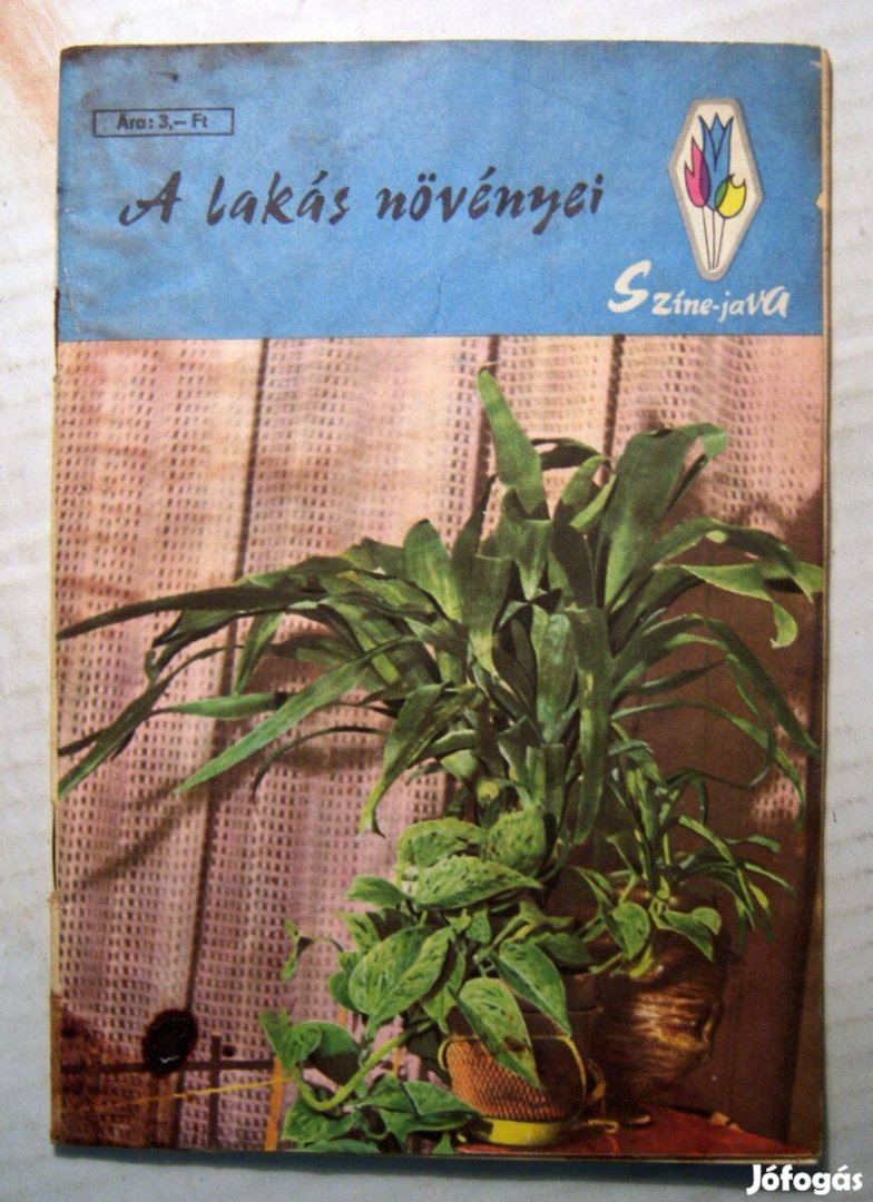 A Lakás Növényei (Szűcs Lajos) 1969 (viseltes) 4kép+tartalom