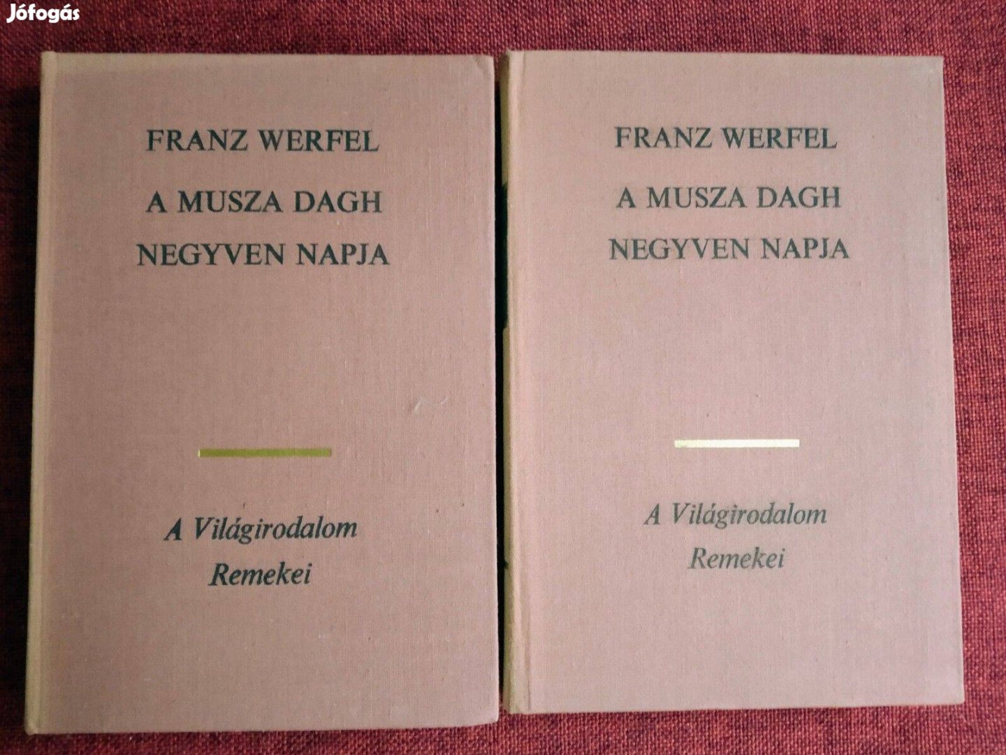 A Musza Dag negyven napja Franz Werfel