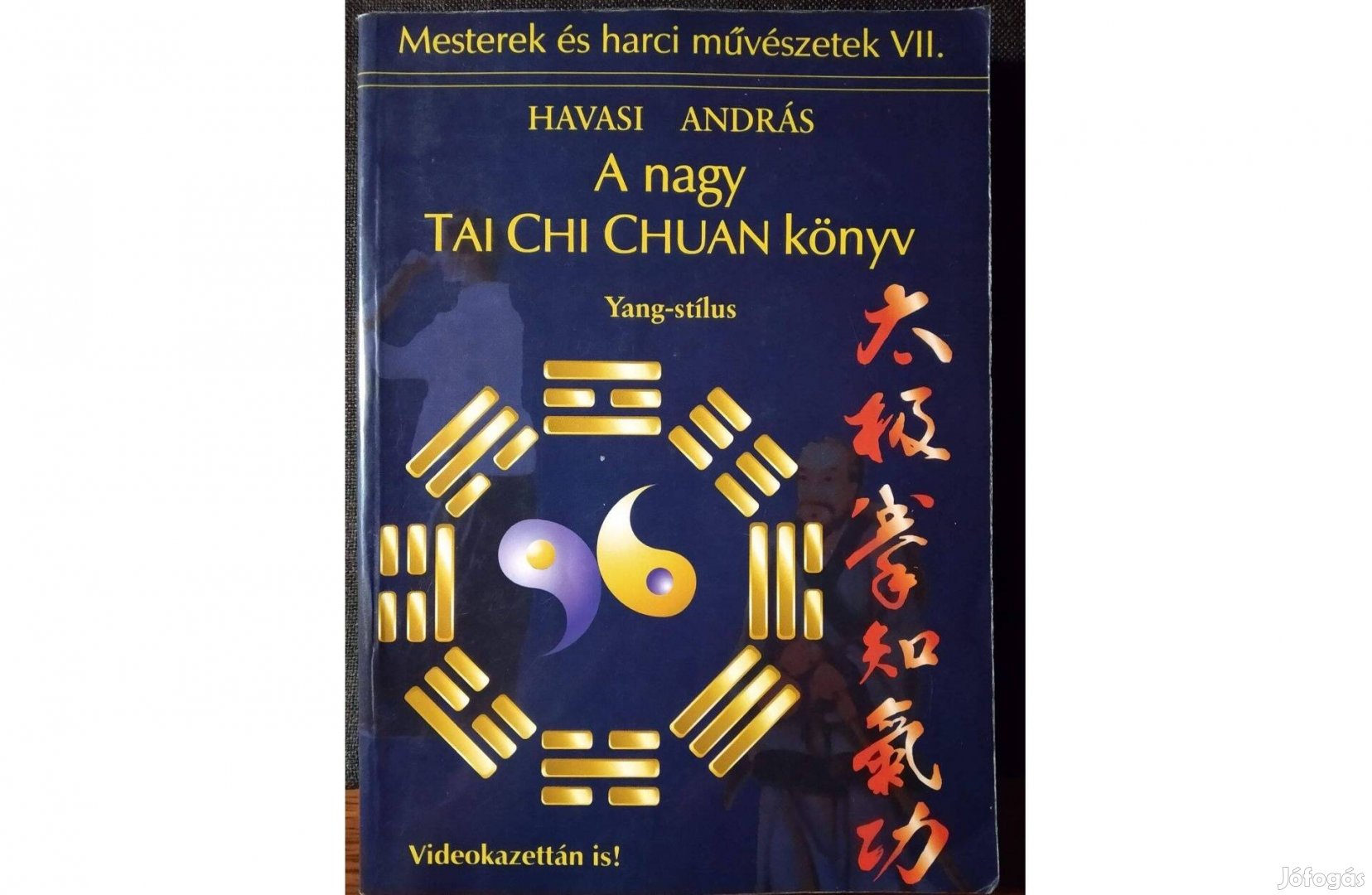 A Nagy TAI CHI Chuan könyv Havasi András