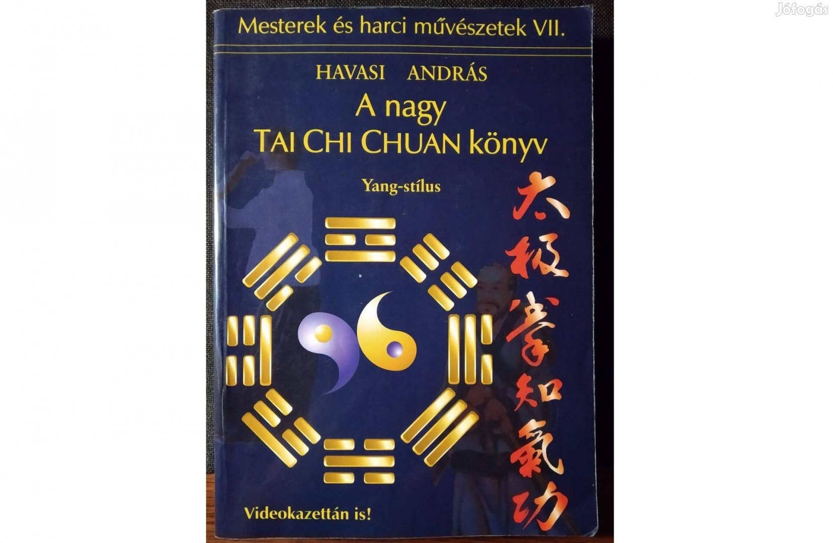 A Nagy TAI CHI Chuan könyv Havasi András