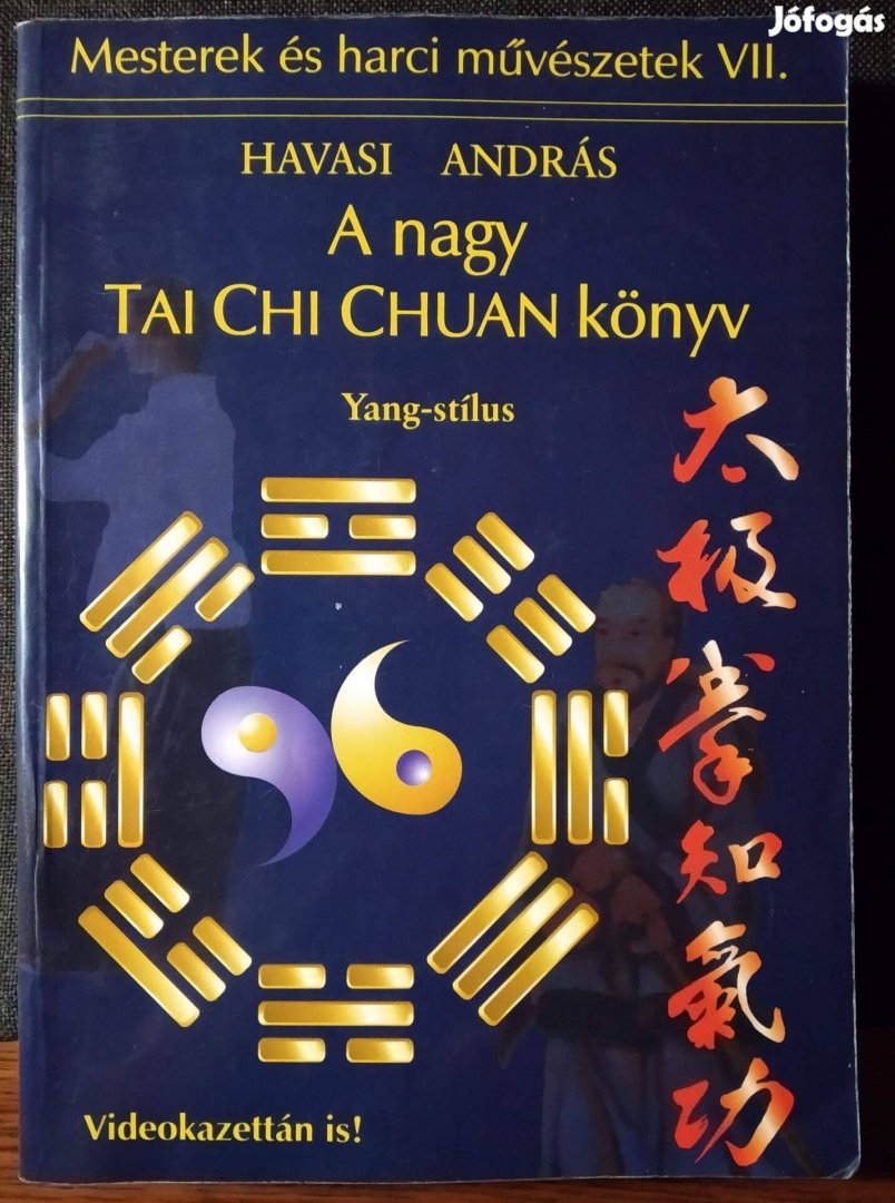 A Nagy Tai Chi Chuan könyv Havasi András