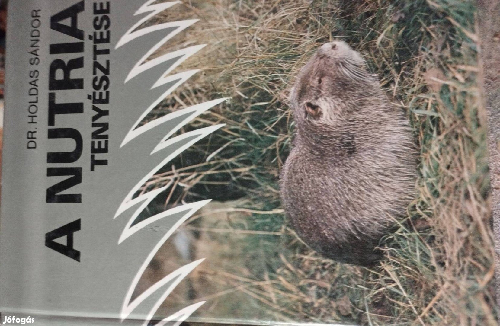 A Nutria Tenyésztése