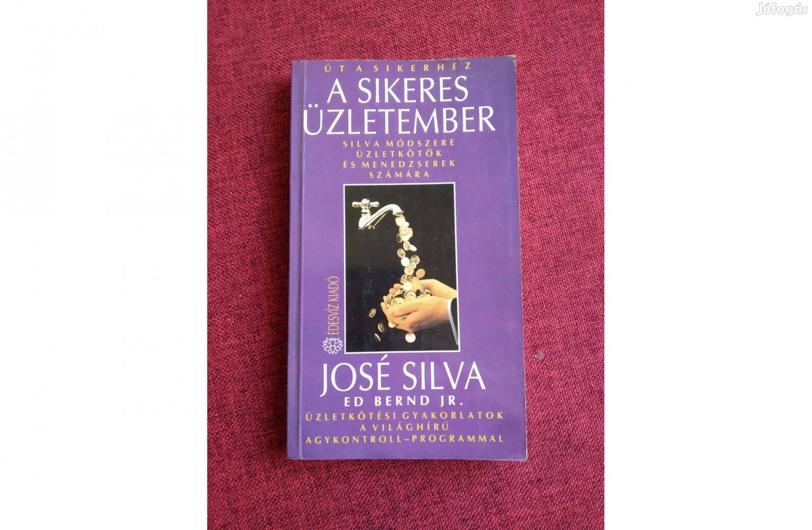 A Sikeres Üzletember José Silva