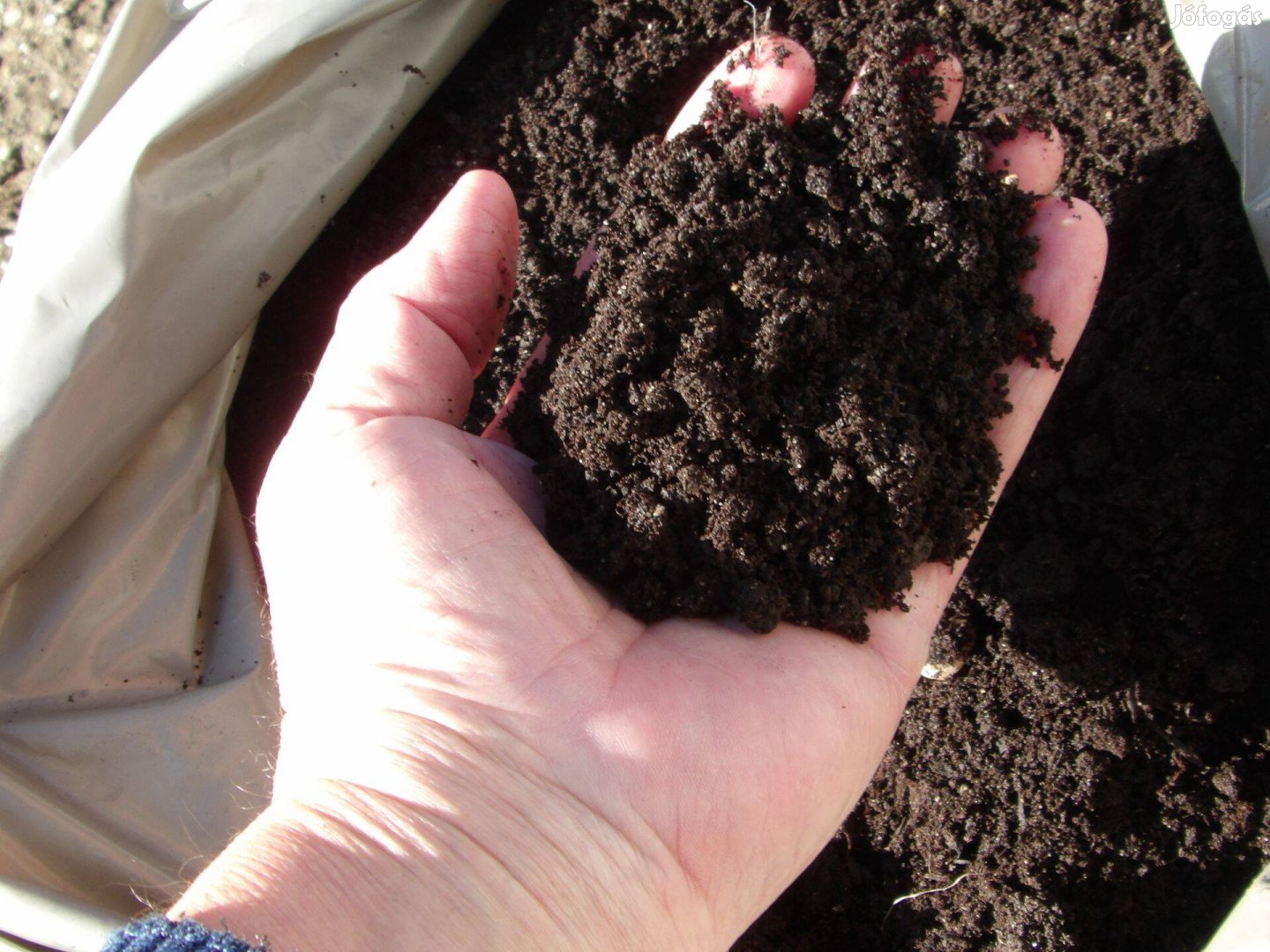 A Trágya Komposzt. oltvány palánta csemete növények évelő