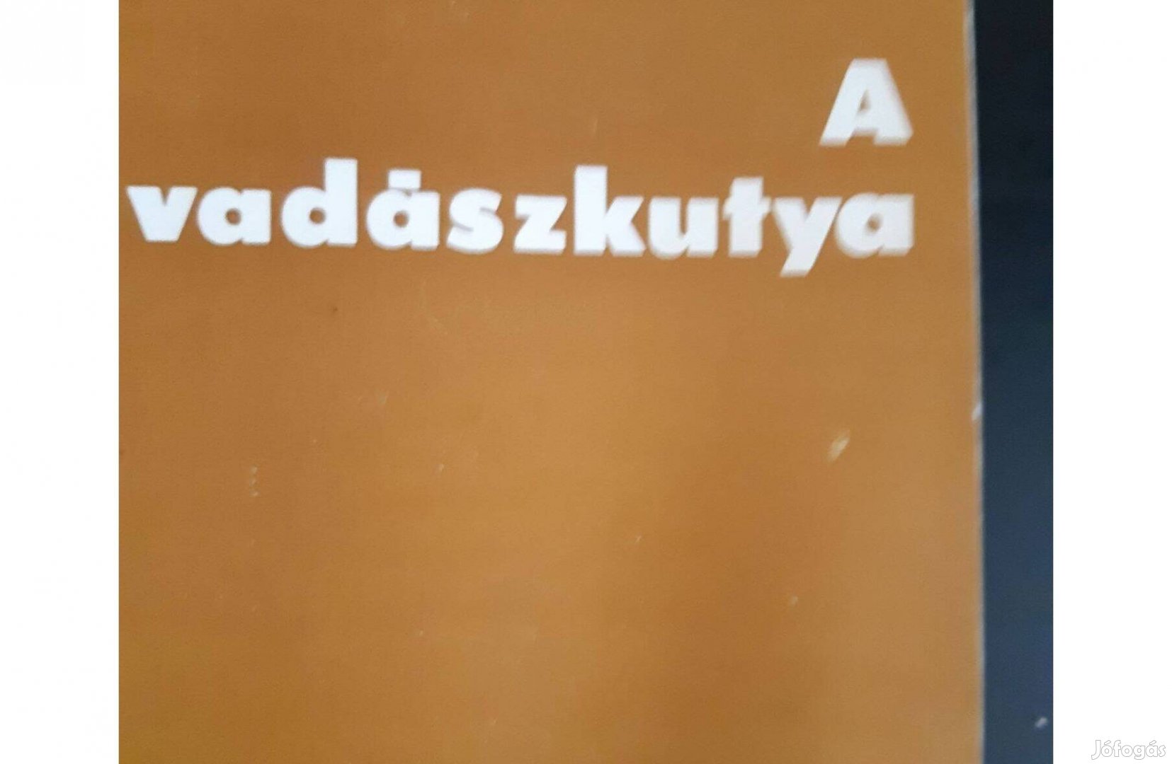 A Vadgazdálkodás fejlesztése 18. A vadászkutya