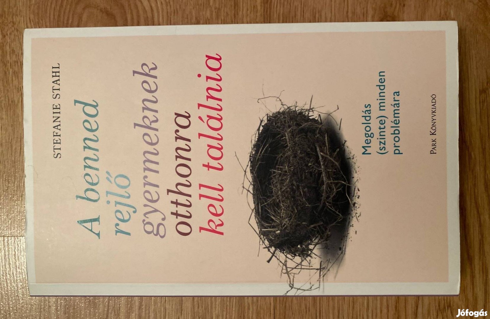 A benned rejlő gyermeknek otthonra kell találnia (Stefanie Stahl)