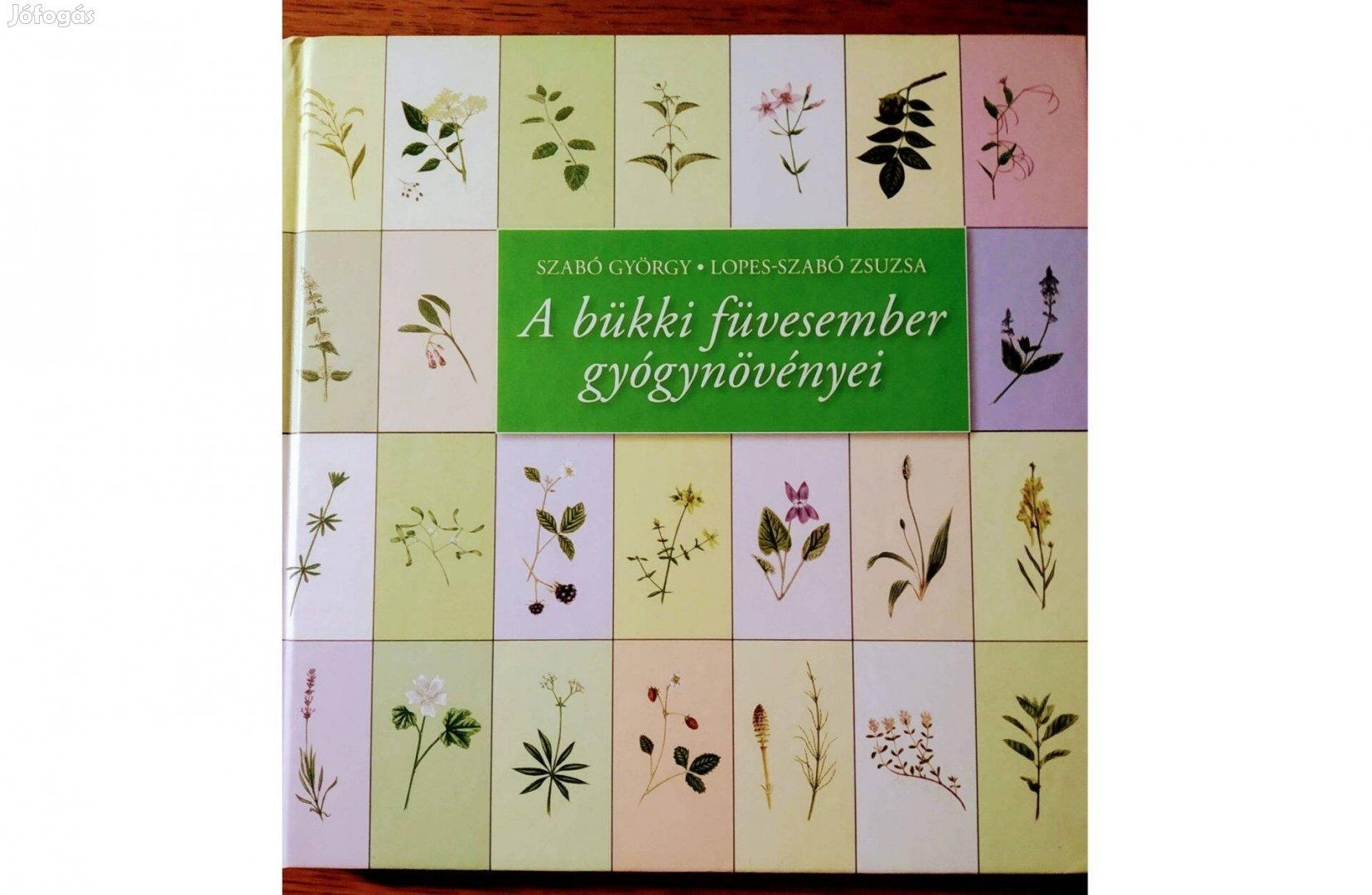 A bükki füvesember gyógynövényei Szabó György