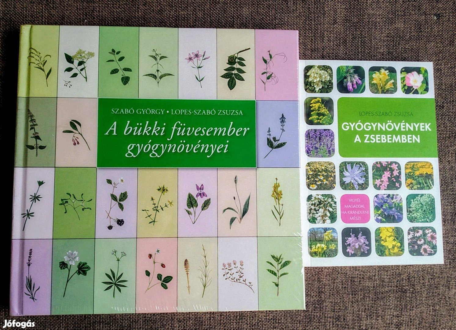 A bükki füvesember gyógynövényei Szabó György Lopes-Szabó