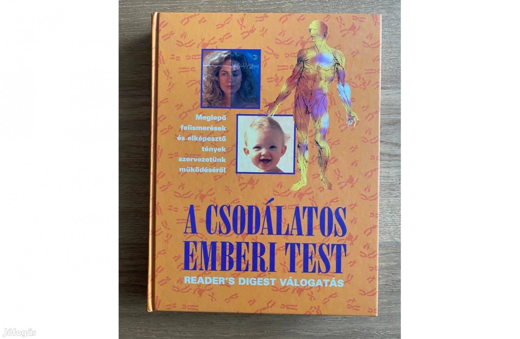 A csodálatos emberi test (Rider's Digest válogatás)