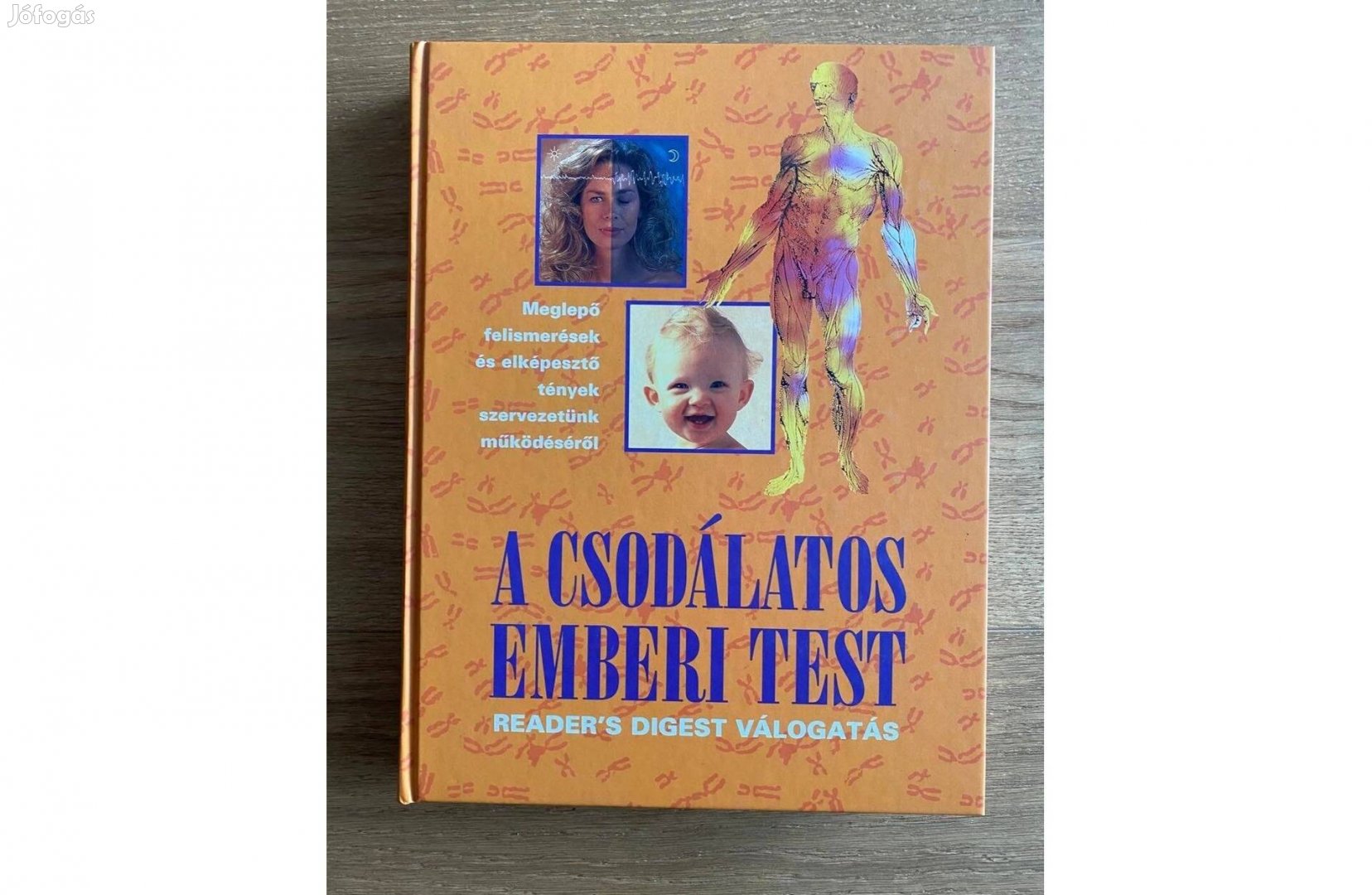 A csodálatos emberi test (Rider's Digest válogatás)