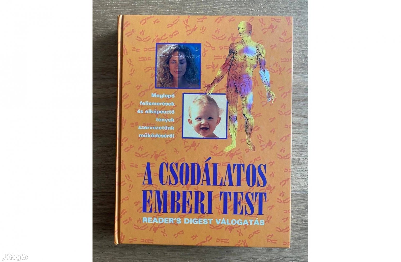 A csodálatos emberi test (Rider's Digest válogatás)