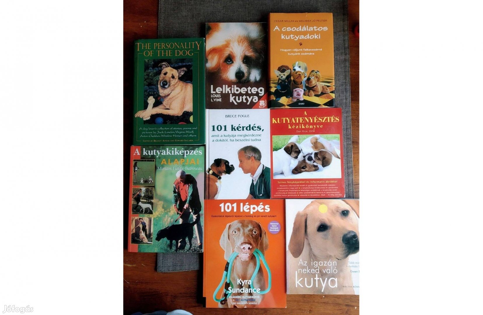 A csodálatos kutyadoki Cesar Millan Sok Mást Is Hirdetek