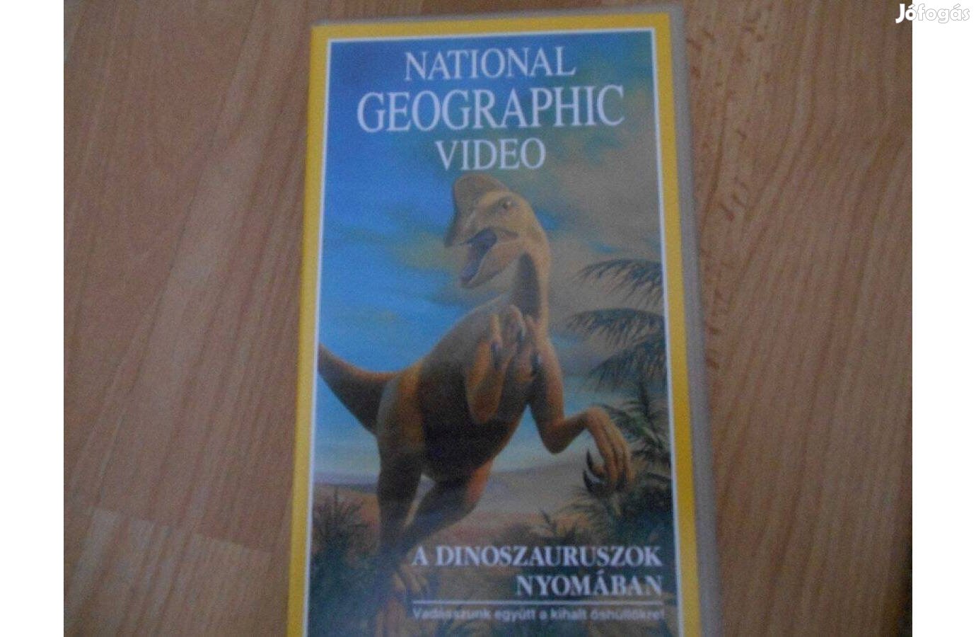 A dinoszauruszok nyomában videófilm